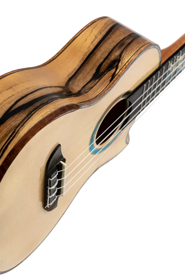 Ukulele Concert "The Private Room" - Eagle Suite