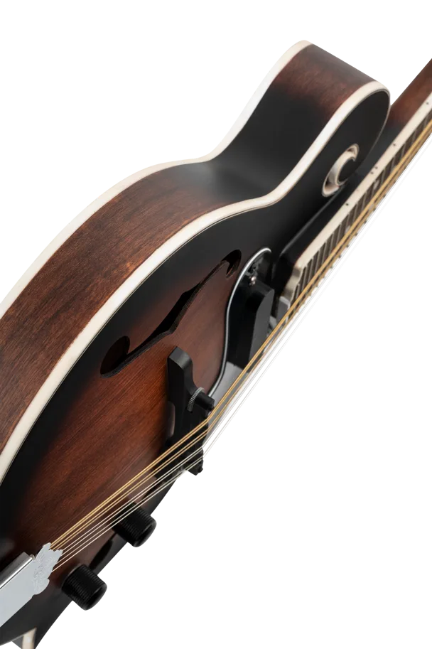 E-Mandolin F-Style "Americana Series" - Whiskey B.