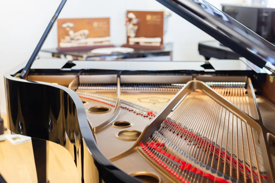 Kayserburg  Artist Series KA212