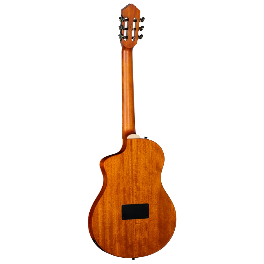 TourPlayer Deluxe Nylon Guitar - Flamed Maple Blue