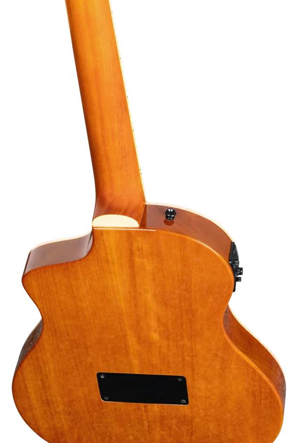 TourPlayer Deluxe Nylon Guitar - Flamed Maple Blue