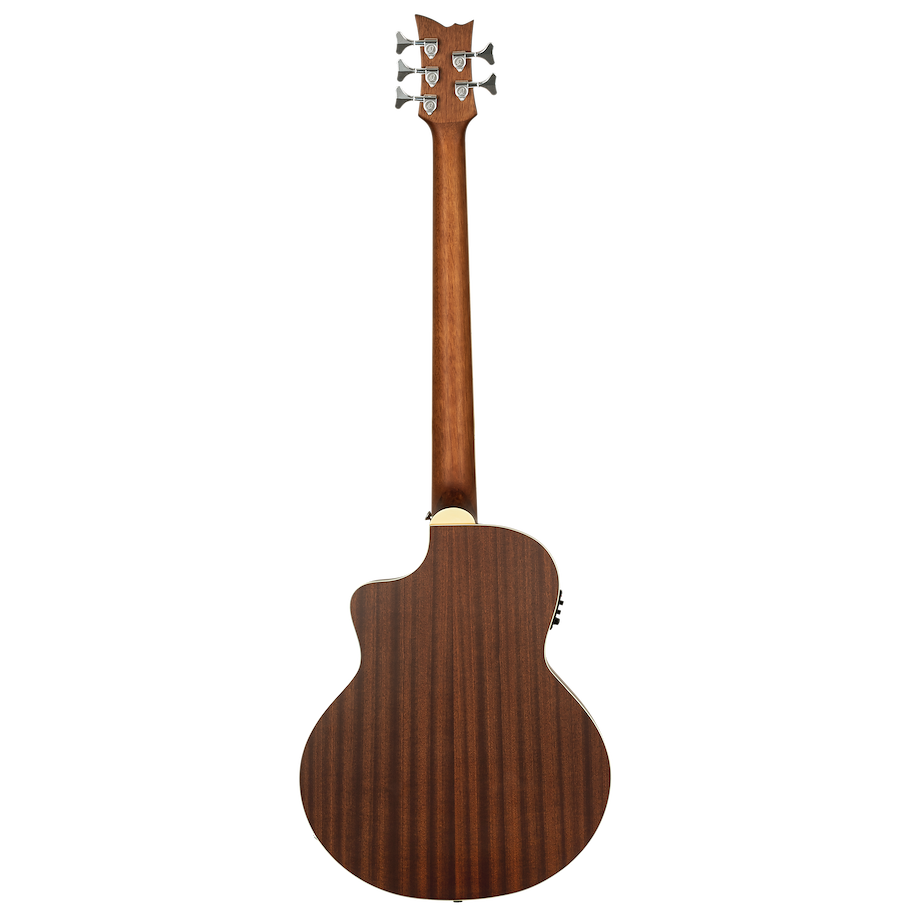Acoustic Bass 5-String - Natural Spruce