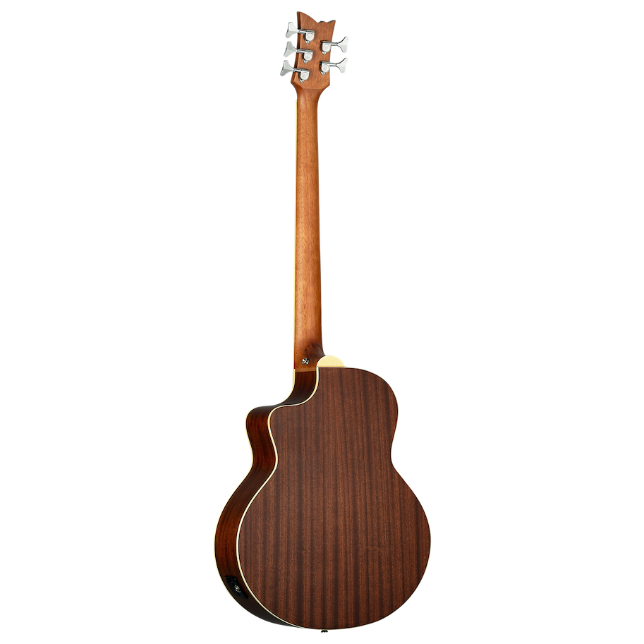 Acoustic Bass 5-String - Natural Spruce