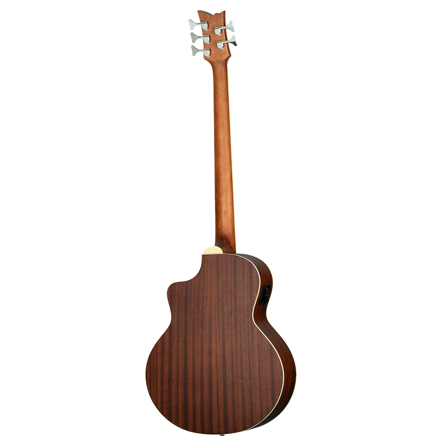 Acoustic Bass 5-String - Natural Spruce