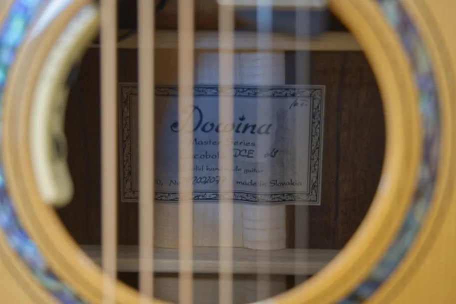 Dowina Master Series Cocobolo Dreadnought Anthem