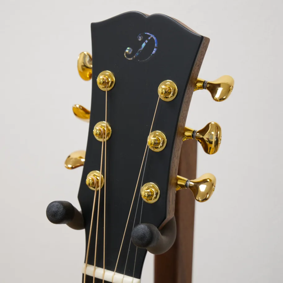 Dowina Master Series Cocobolo Dreadnought Anthem