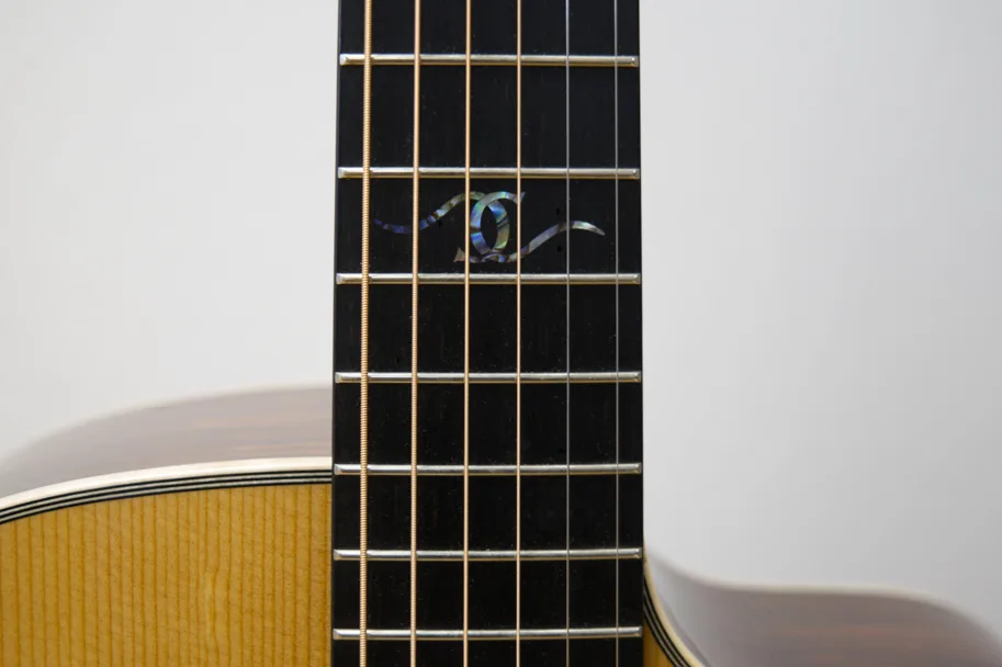 Dowina Master Series Cocobolo Dreadnought Anthem