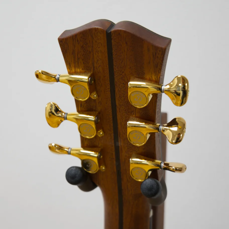 Dowina Master Series Cocobolo Dreadnought Anthem