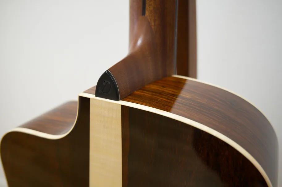 Dowina Master Series Cocobolo Dreadnought Anthem