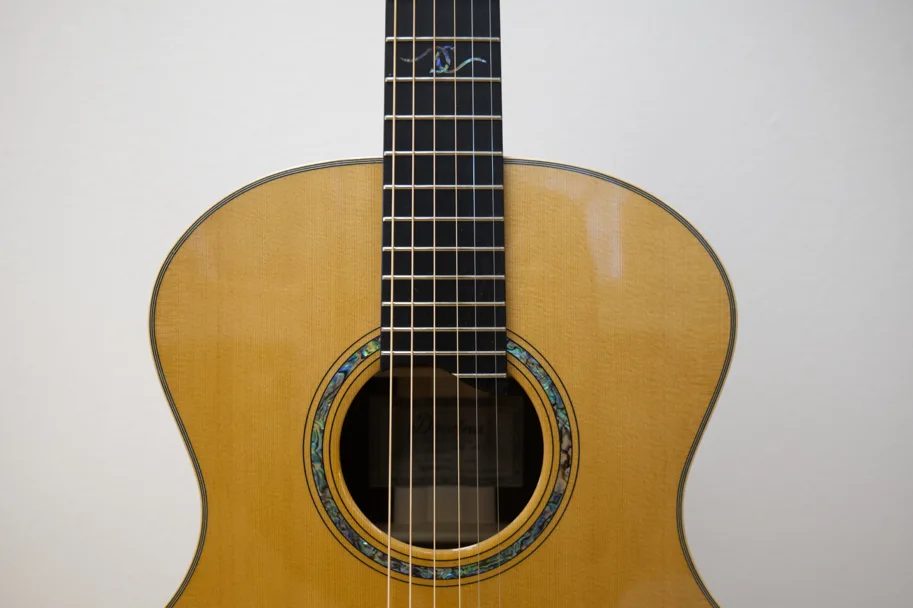 Dowina Master Series Cocobolo Gloss Grand Auditorium