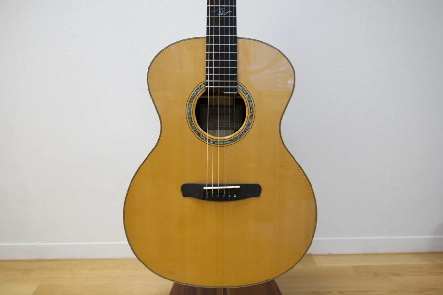 Dowina Master Series Cocobolo Gloss Grand Auditorium