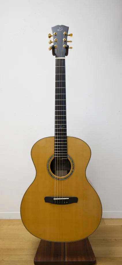Dowina Master Series Cocobolo Gloss Grand Auditorium