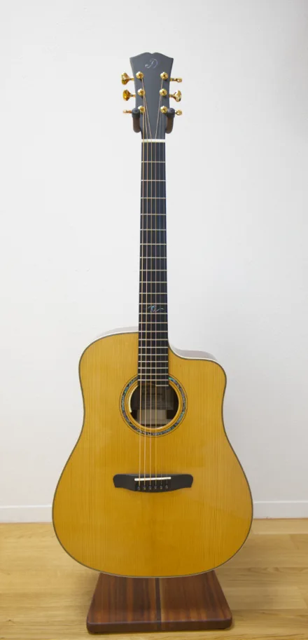 Dowina Master Series Cocobolo Dreadnought Anthem