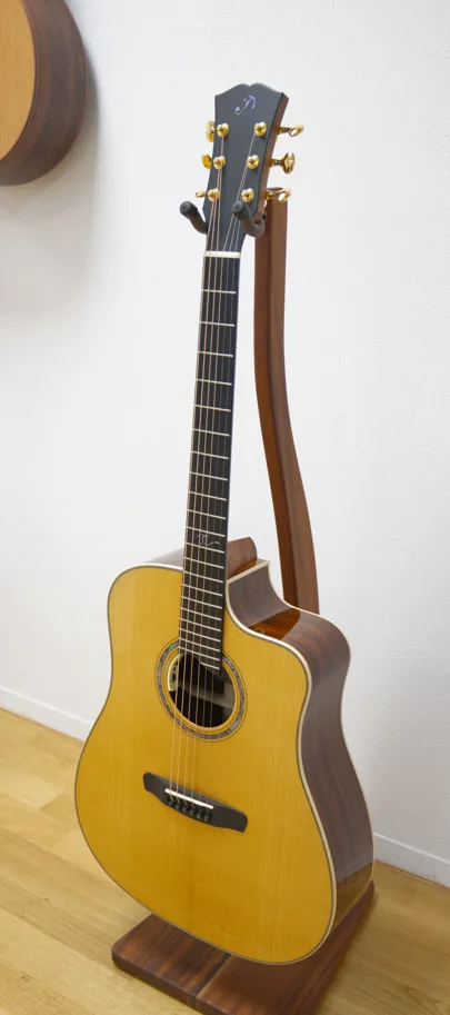 Dowina Master Series Cocobolo Dreadnought Anthem