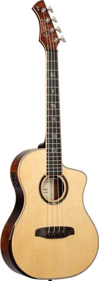 Acoustic Travel Bass - Ken Taylor - Thinline