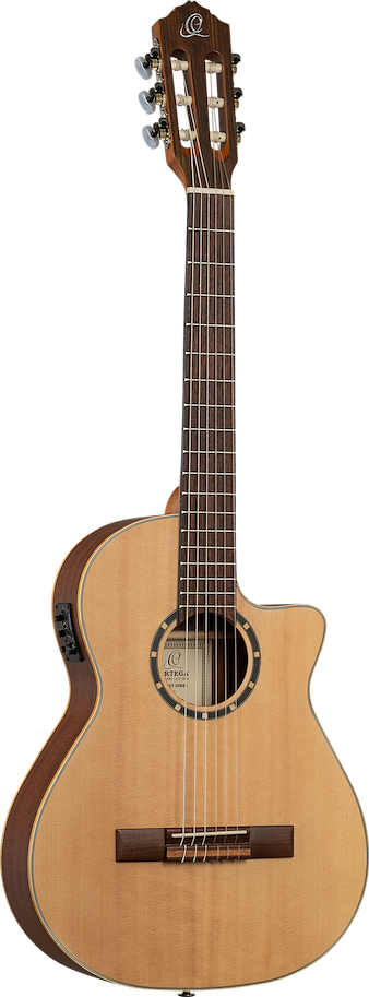 Guitar SN Family Series 3/4 Thinline - Spruce