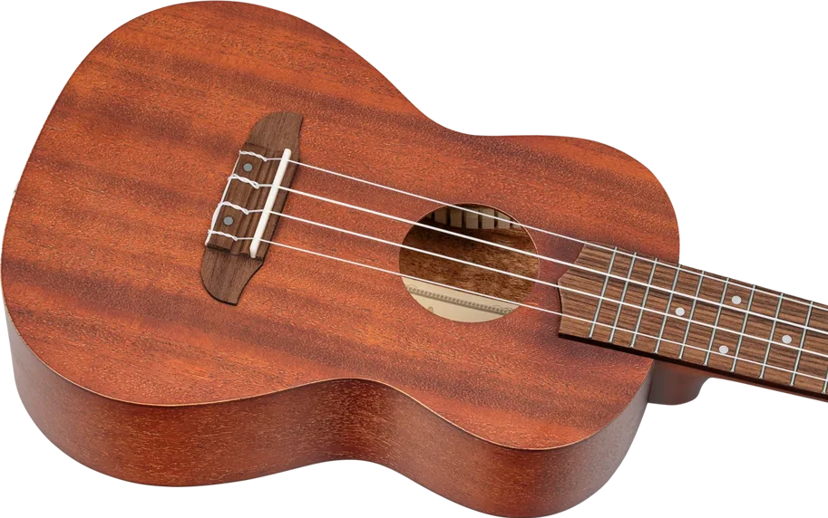 ORTEGA Ukulele Set - Concert (Swiss Edition)