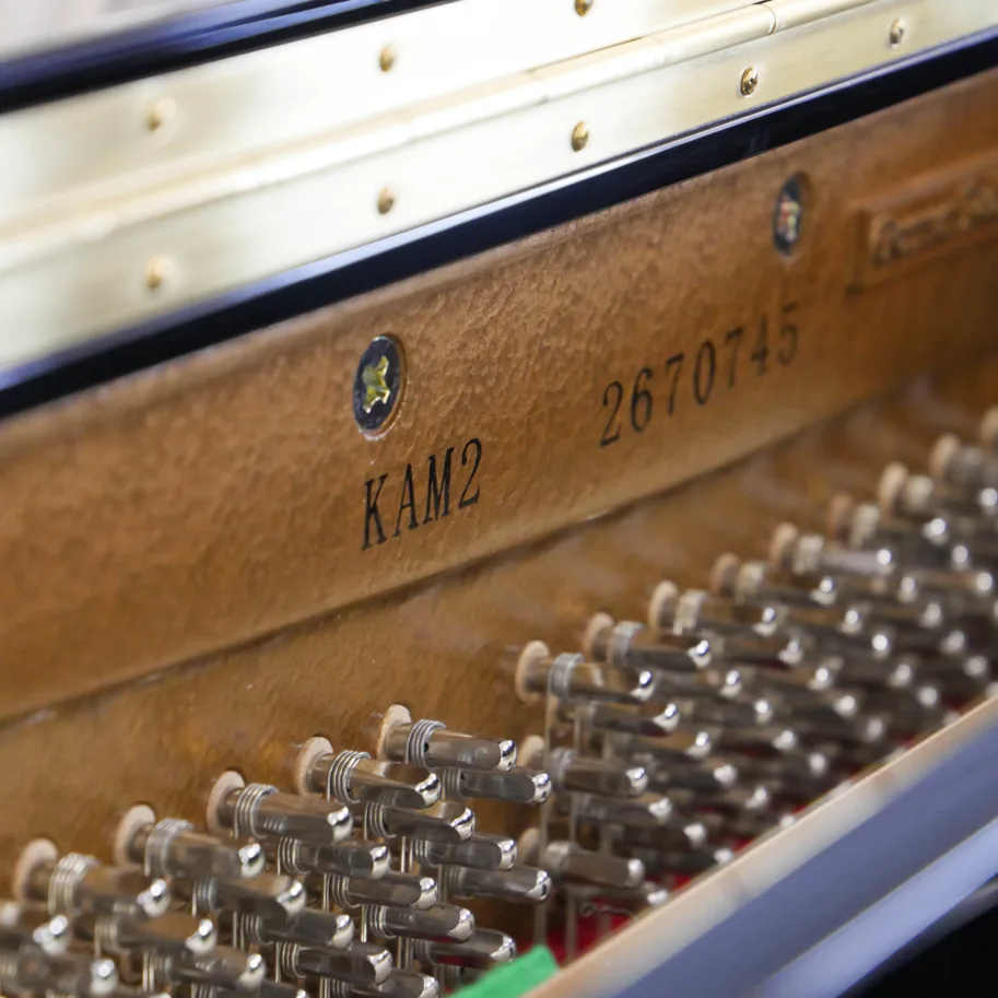 Kayserburg Master Series KAM2