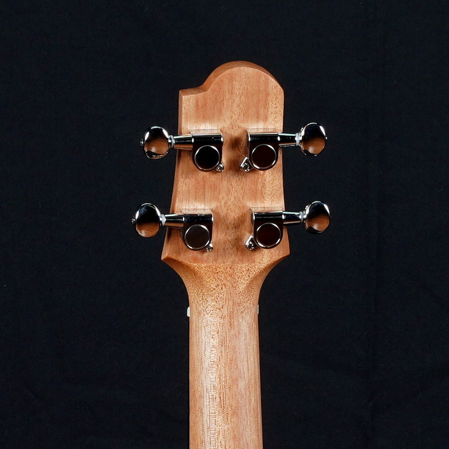 Pearl River Ukulele UL21E-T