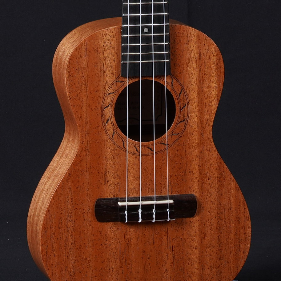 Pearl River Ukulele UL20E-C