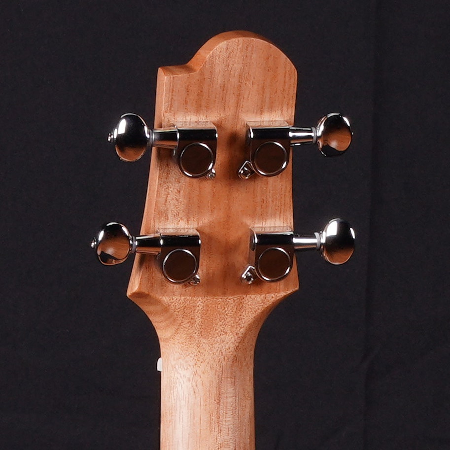 Pearl River Ukulele UL20E-C