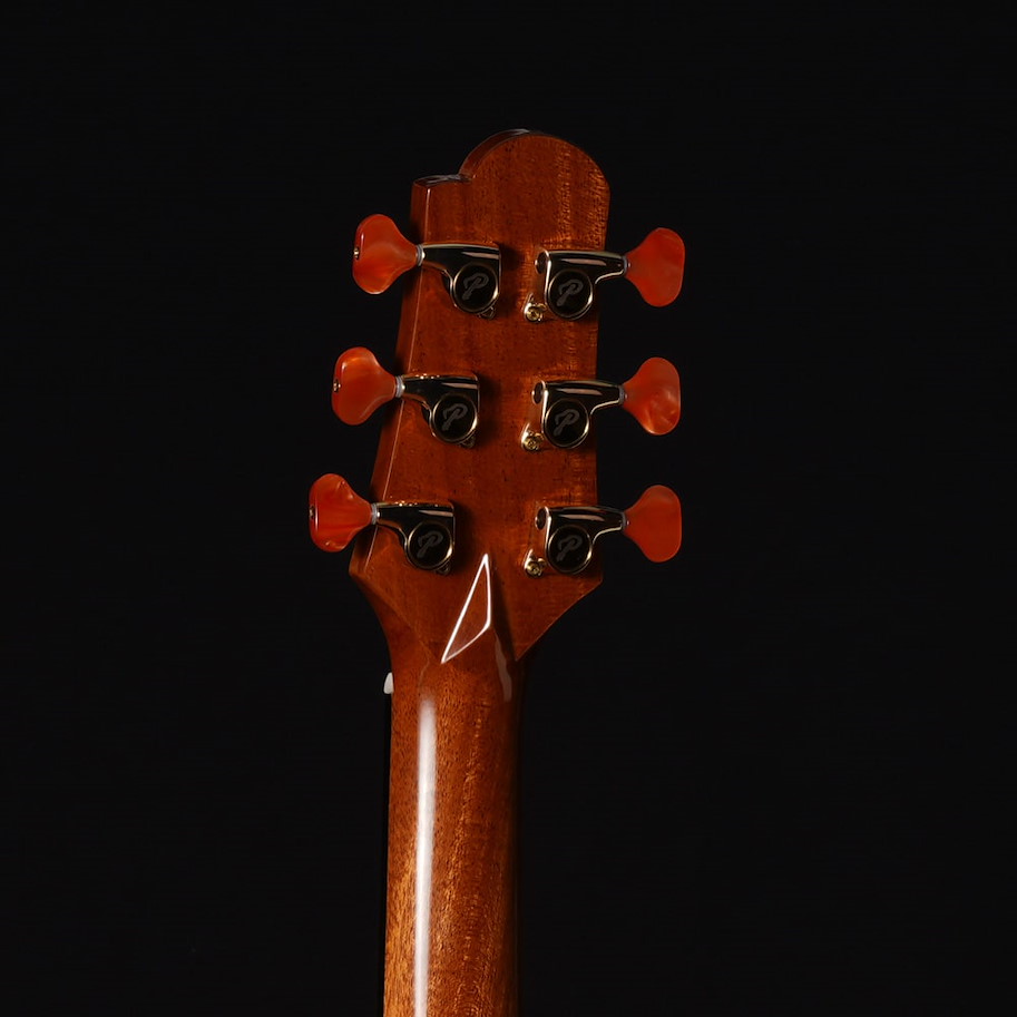 Pearl River Akustikgitarre S1CO-JCB