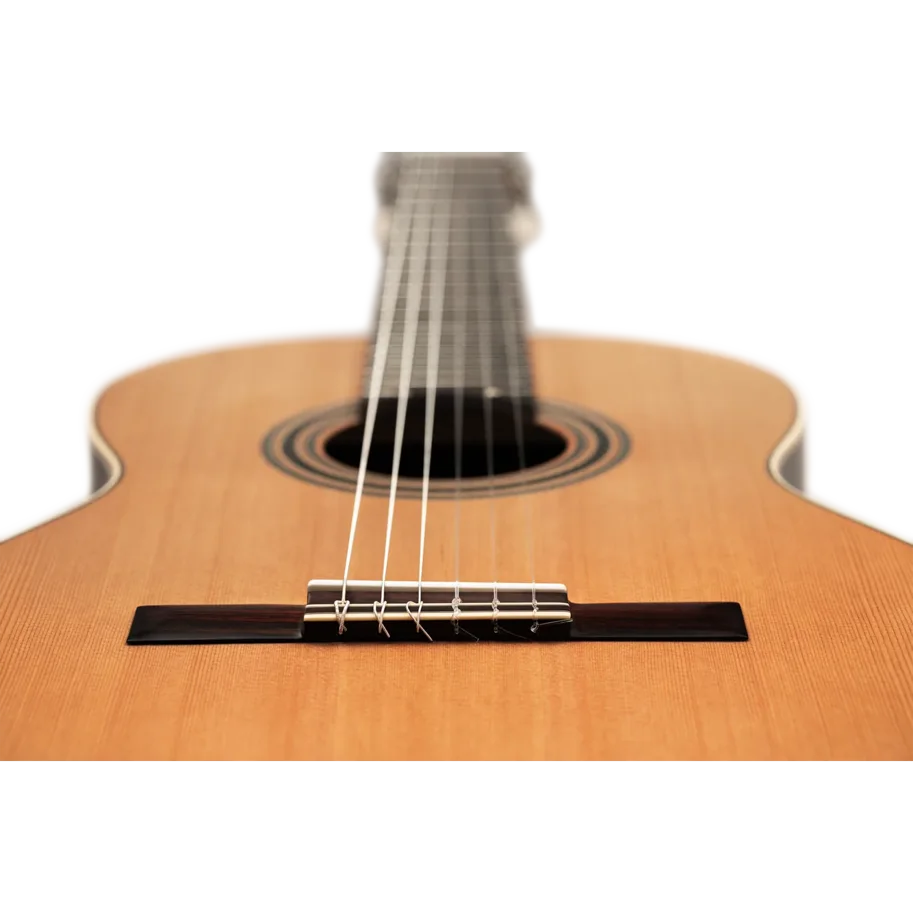 ORTEGA Traditional Series 4/4 Konzertgitarre 6-String + Pro Gigbag