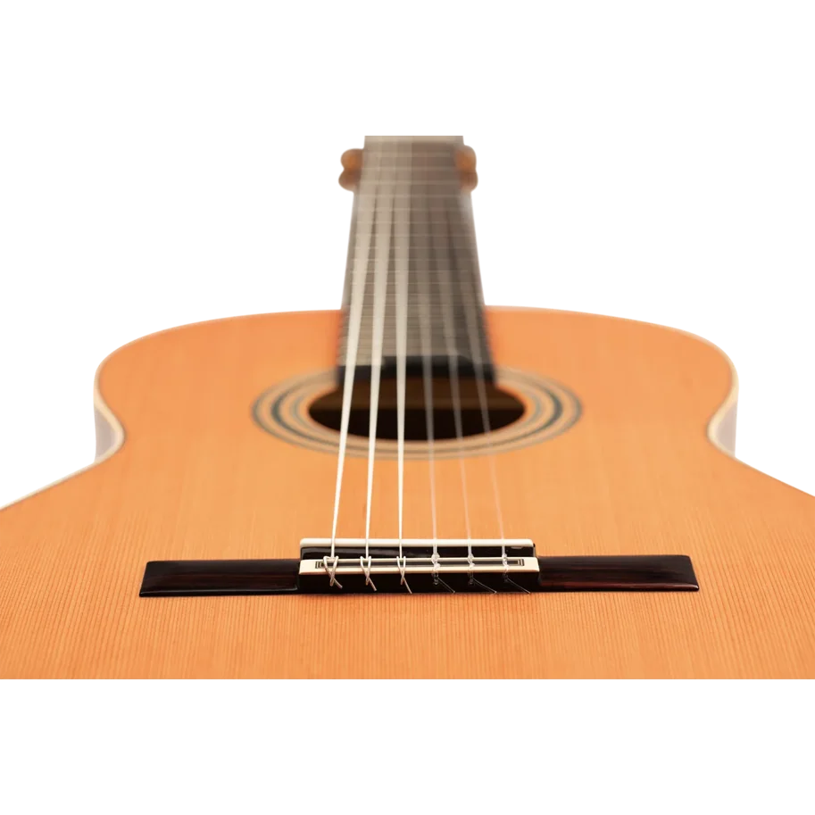 ORTEGA Traditional Series 4/4 Nylon String Guitar 6-String + Pro Gigbag
