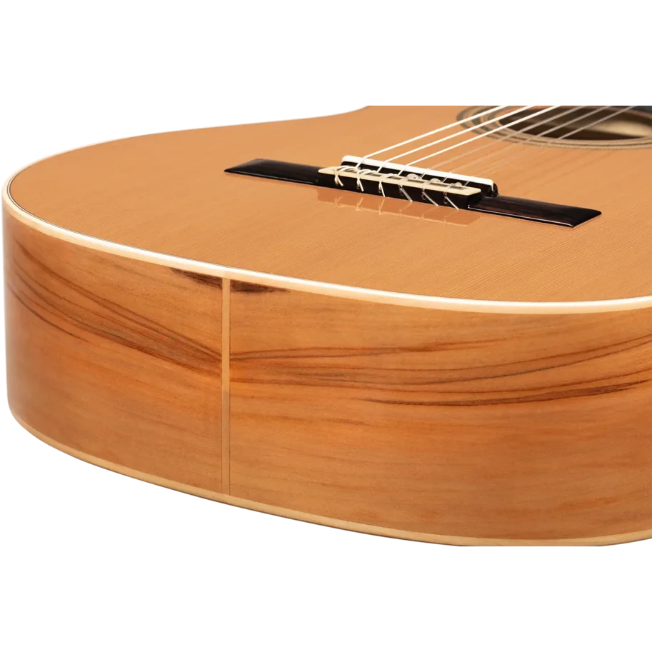 ORTEGA Traditional Series 4/4 Nylon String Guitar 6-String + Pro Gigbag