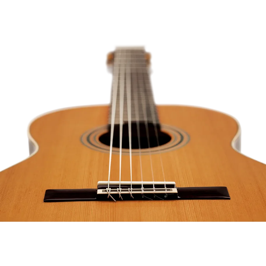 ORTEGA Traditional Series 4/4 Konzertgitarre 6-String + Pro Gigbag