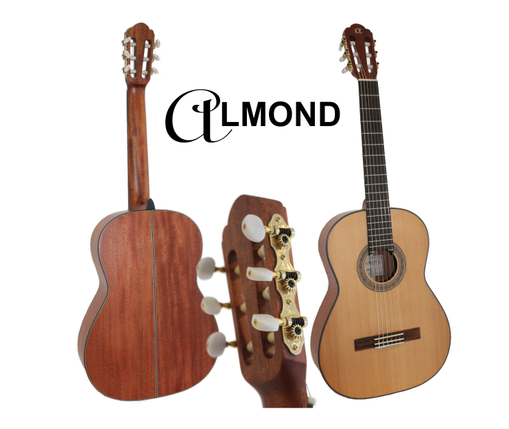 Guitar Classic 1/2 Solid Spruce Top/Sapele ALMOND
